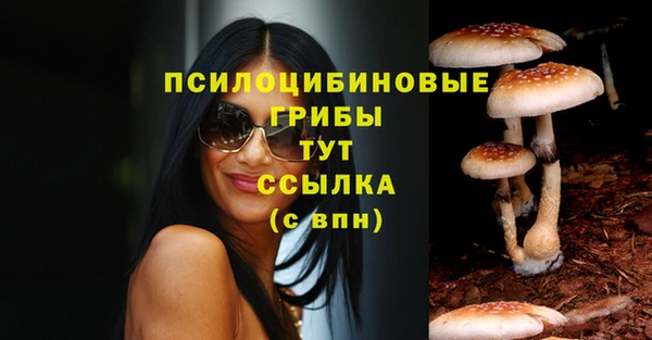 мескалин Новодвинск
