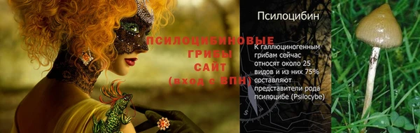 мескалин Новодвинск