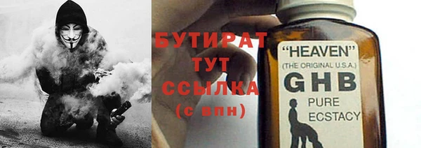 шишки Новозыбков