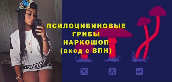 мескалин Новодвинск