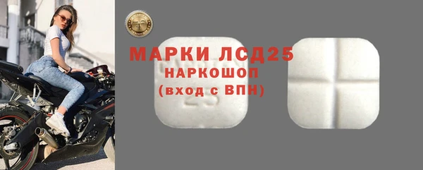 шишки Новозыбков