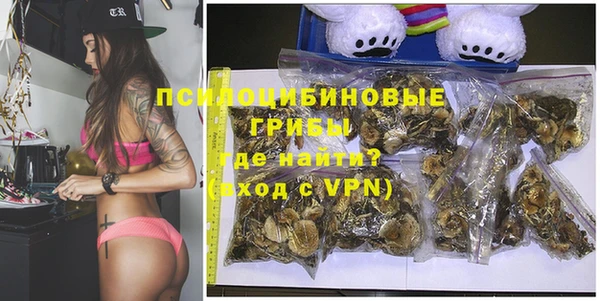 шишки Новозыбков