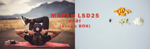 шишки Новозыбков