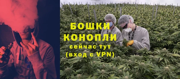шишки Новозыбков