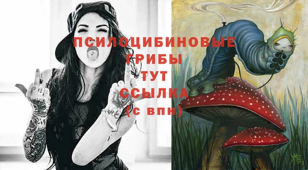 ешки Новокубанск