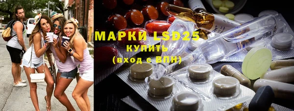 шишки Новозыбков