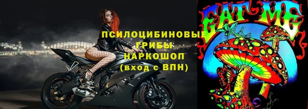 шишки Новозыбков