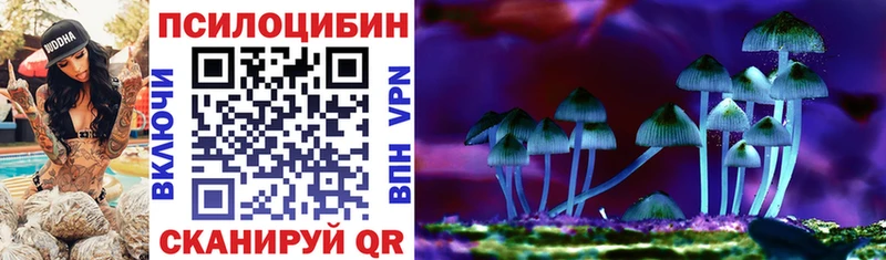 Галлюциногенные грибы мухоморы  дарнет шоп  Покровск 